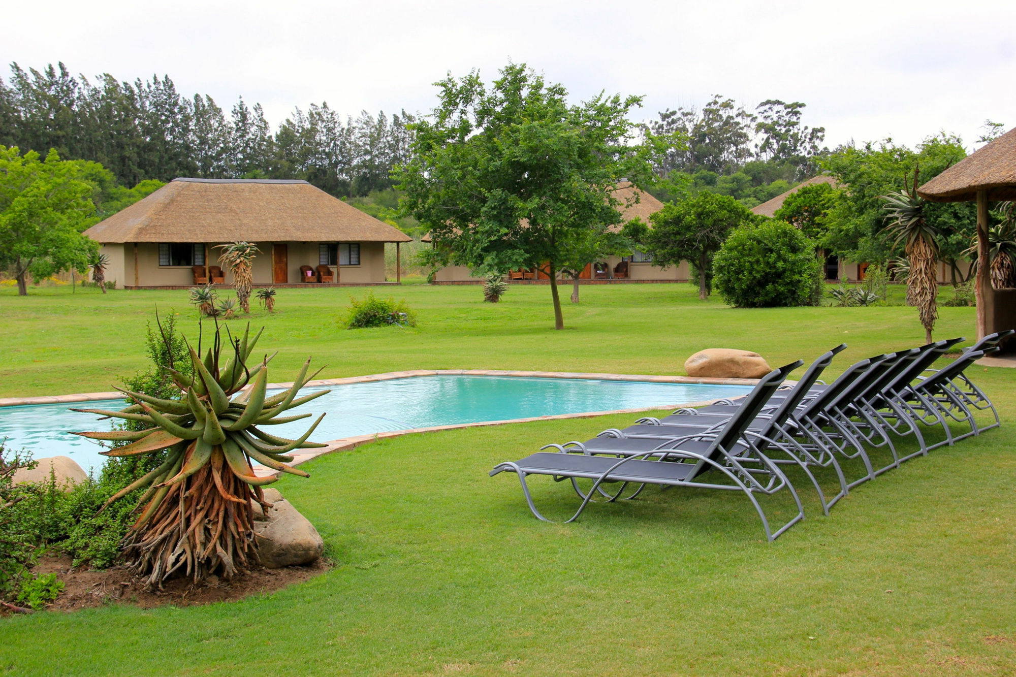 Chrislin African Lodge Аддо Экстерьер фото