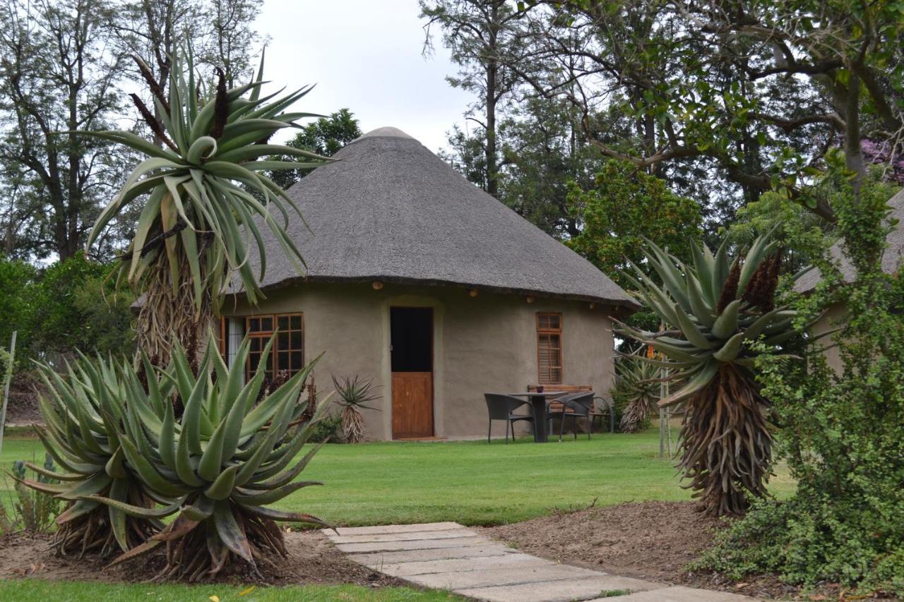 Chrislin African Lodge Аддо Экстерьер фото