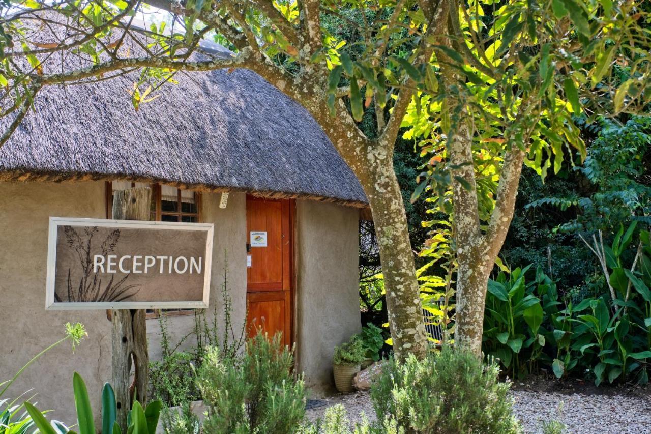 Chrislin African Lodge Аддо Экстерьер фото