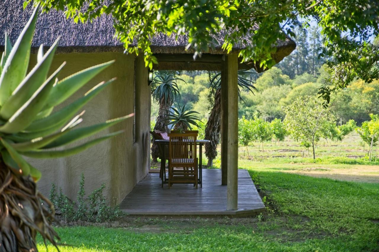 Chrislin African Lodge Аддо Экстерьер фото